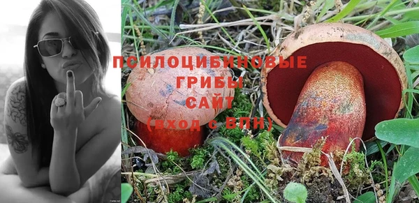 кокс Богданович